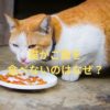 猫がご飯を食べないのはなぜ？