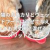 猫のカリカリとウェットフードは混ぜて与えても大丈夫？混ぜるメリットとは？
