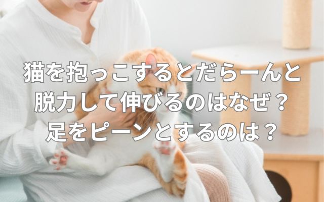 猫を抱っこするとだらーんと脱力して伸びるのはなぜ?足をピーンとするのは?