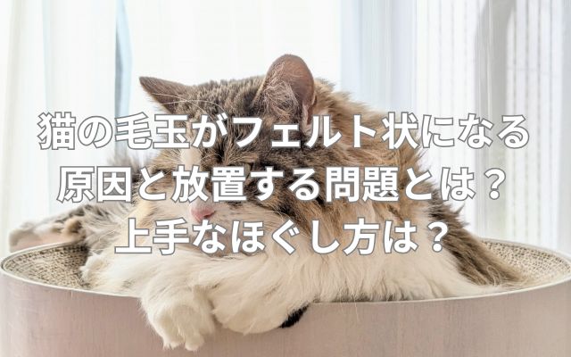 猫の毛玉がフェルト状になる原因と放置する問題とは?上手なほぐし方は?