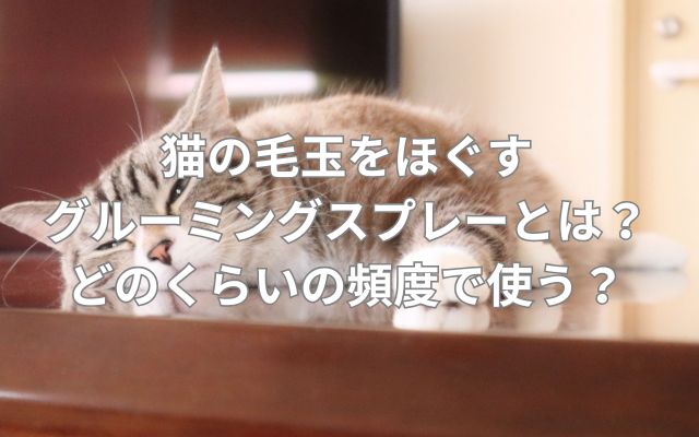 猫の毛玉をほぐすグルーミングスプレーとは？どのくらいの頻度で使う？