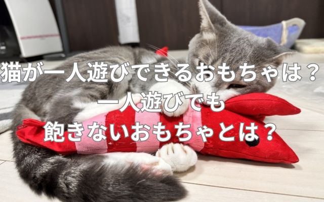 猫が一人遊びできるおもちゃとは？一人遊びでも飽きないおもちゃとは？