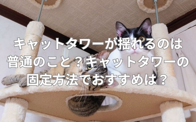 キャットタワーが揺れるのは普通のこと？キャットタワーの固定方法でおすすめは？