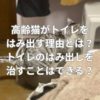 高齢猫がトイレをはみ出す理由とは？トイレのはみ出しを治すことはできる？