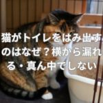 猫がトイレをはみ出すのはなぜ？横から漏れる・真ん中でしない