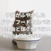 子猫がふやかしたドライフードを食べない理由とは？食べない時には何を与える？