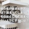 猫の毛が固まる原因とは？固まってしまった毛のほぐし方と固まらないようにするには？