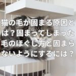 猫の毛が固まる原因とは？固まってしまった毛のほぐし方と固まらないようにするには？