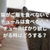 猫がご飯を食べないでチュールは食べる！？チュールばかり欲しがる時はどうする？