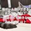 猫が一人遊びできるおもちゃとは？一人遊びでも飽きないおもちゃとは？