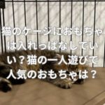 猫のケージにおもちゃは入れっぱなしでいい？猫の一人遊びで人気のおもちゃは？