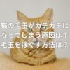 猫の毛玉がカチカチになってしまう原因は？毛玉をほぐす方法とは？