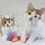 子猫が一人遊びできるおもちゃは？運動不足を防ぐには？
