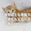 子猫を迎える準備で最低限そろえるべき用品は何？