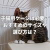 子猫用ケージは必要？おすすめのサイズや選び方は？