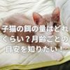 子猫の餌の量はどれくらい？月齢ごとの目安を知りたい！