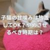 子猫の甘噛みは放置してOK？やめさせるべき時期は？