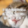 子猫の睡眠時間は長すぎる？一緒に寝ても大丈夫？